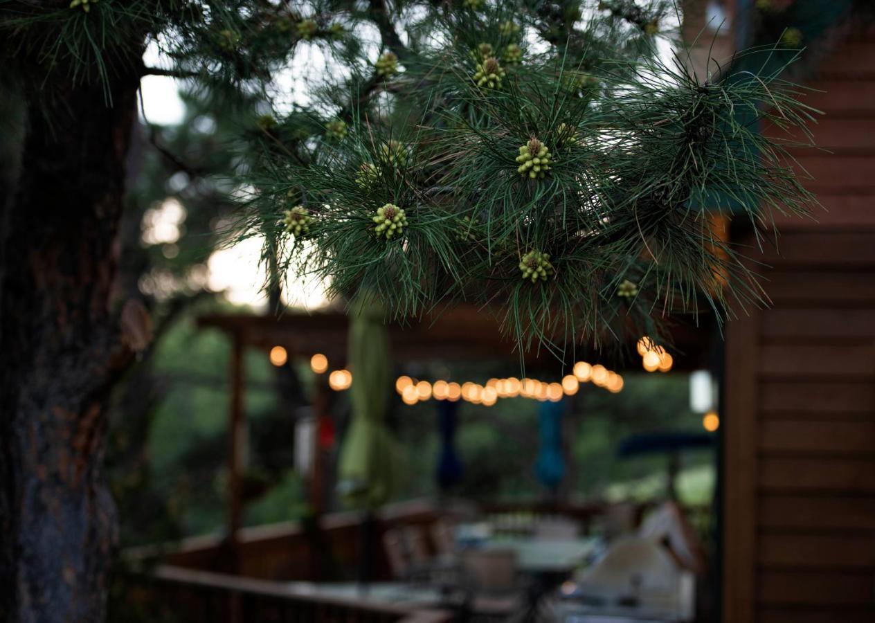 Coyote Blues Village Bed & Breakfast Silver City Exterior foto